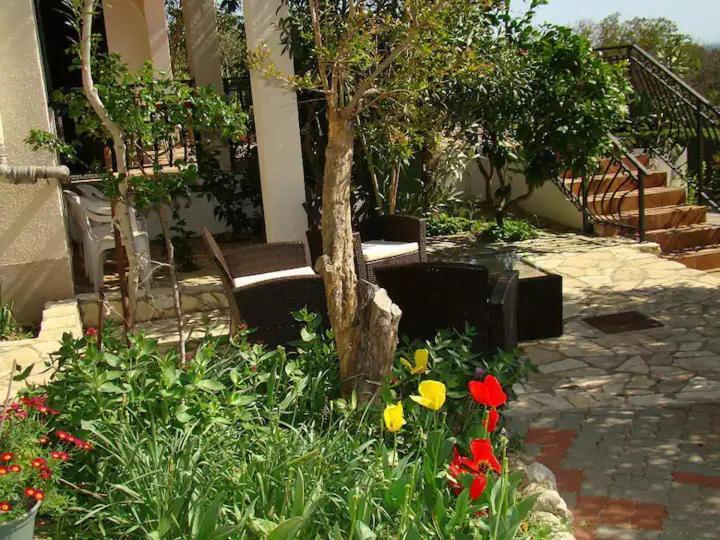 Apartments Davorka Šimuni Zewnętrze zdjęcie